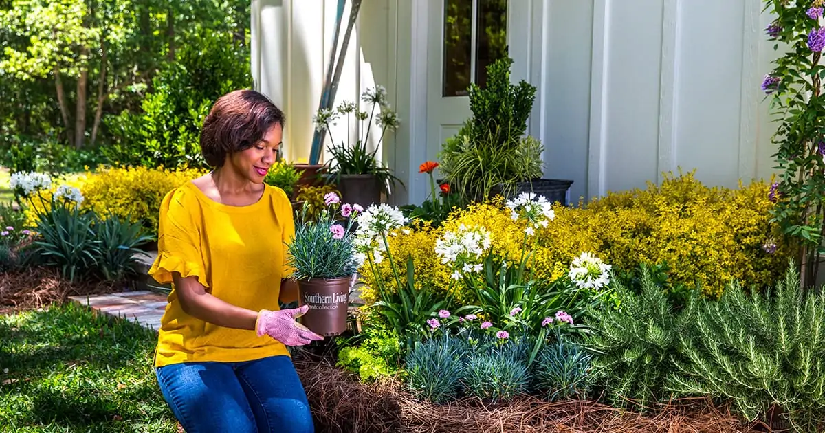 Your Garden Might Be Inviting the Wrong Kind of Guests